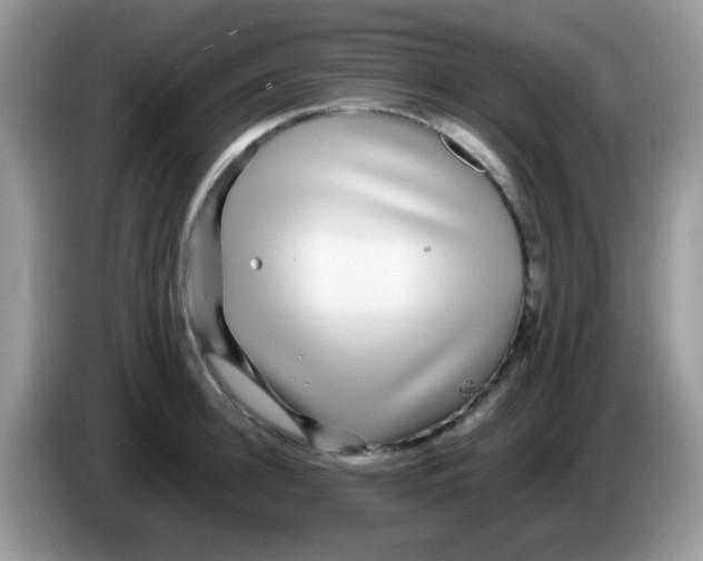 X0000086260948200704261953