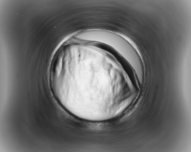 X0000086260949200704261953