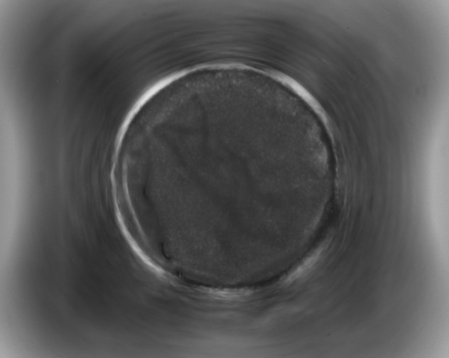 X0000086260951200704261953