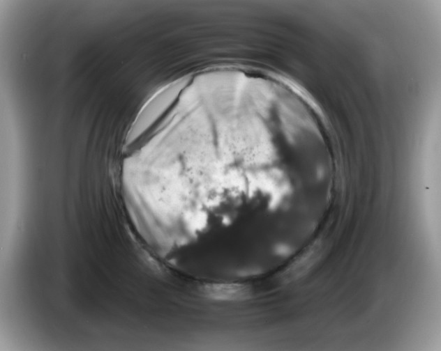 X0000086260953200704261953