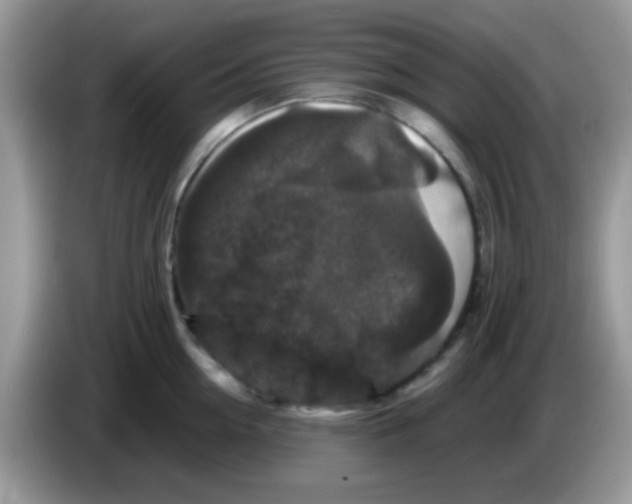 X0000086260954200704261953