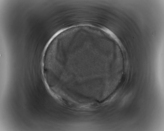 X0000086260955200704261953