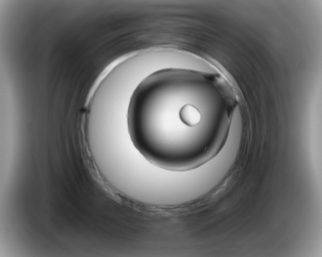 X0000086260956200704261953