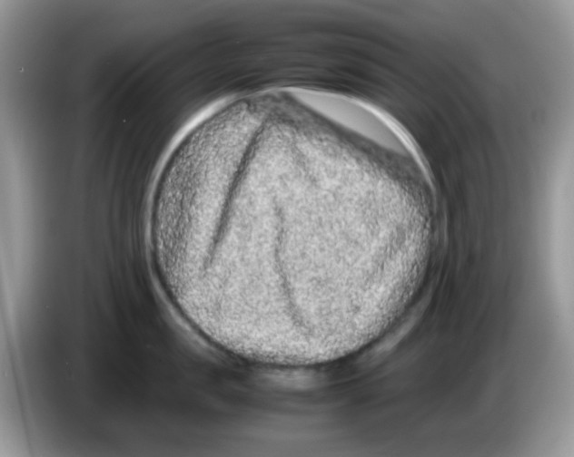 X0000086260957200704261953