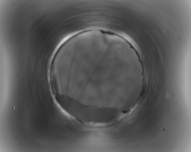 X0000086260958200704261953