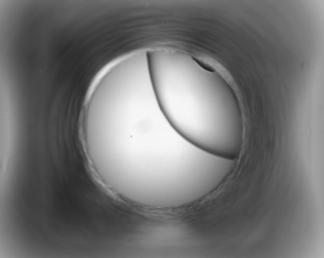 X0000086260960200704261953