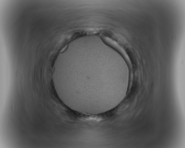 X0000086260961200704261952