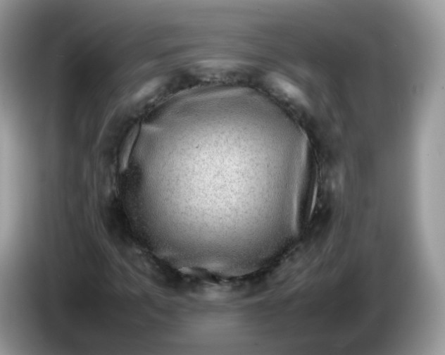 X0000086260965200704261952