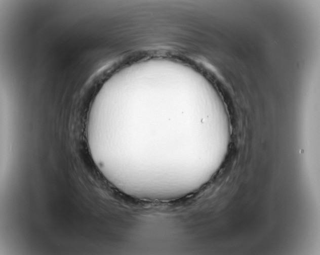 X0000086260967200704261952