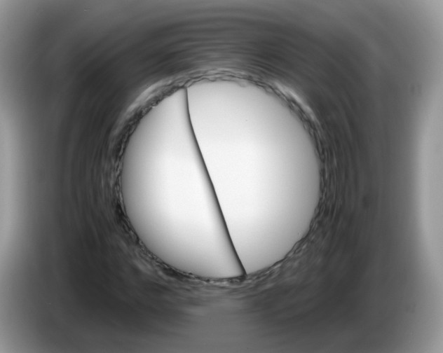 X0000086260968200704261952