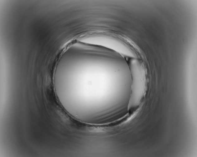 X0000086260969200704261952