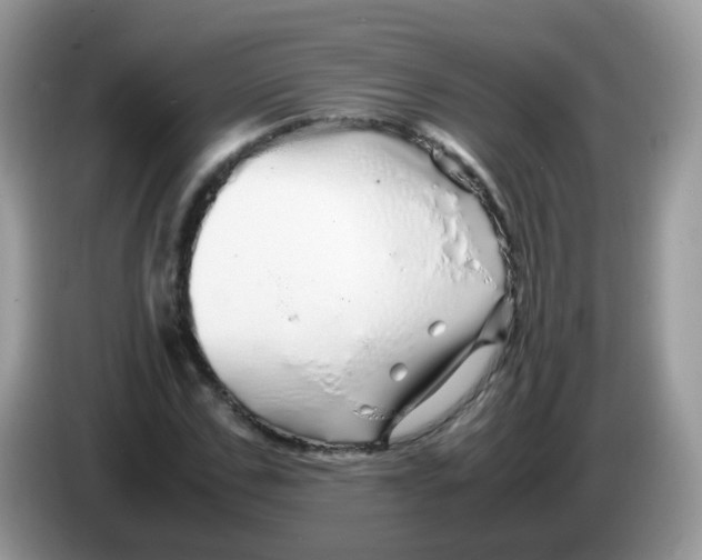 X0000086260971200704261952