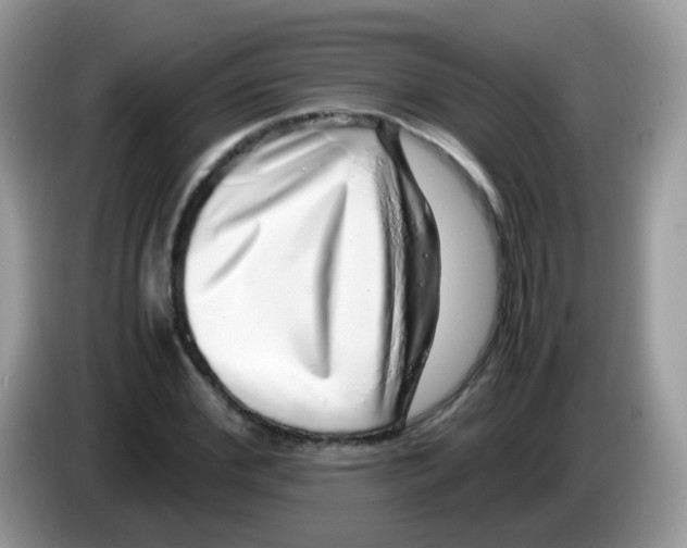 X0000086260972200704261952