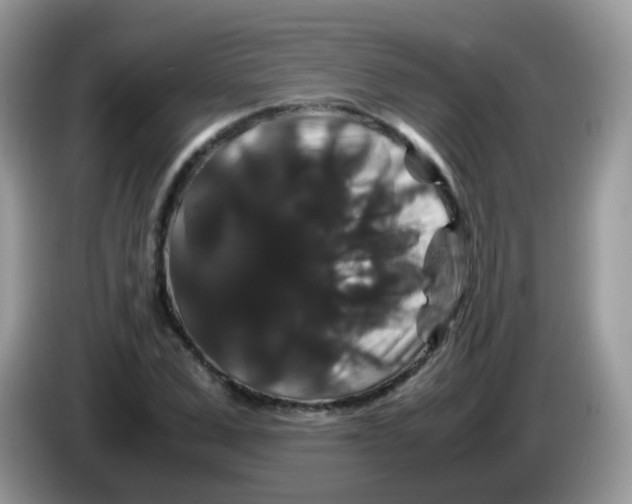 X0000086260975200704261952