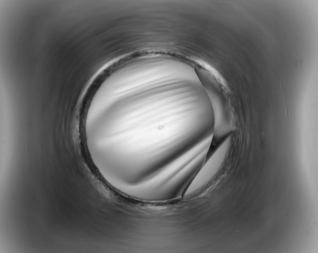 X0000086260976200704261952