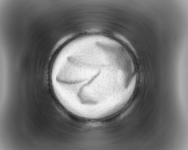 X0000086260978200704261952