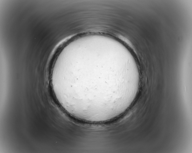 X0000086260979200704261952