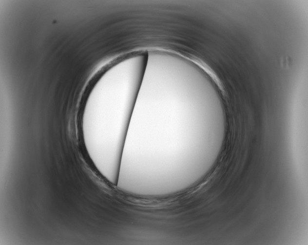 X0000086260980200704261952