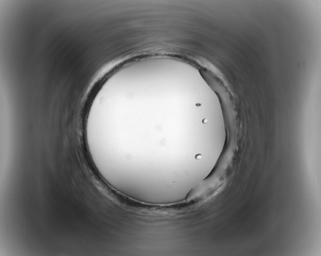 X0000086260981200704261952