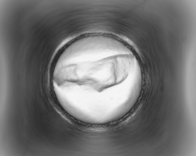 X0000086260982200704261952