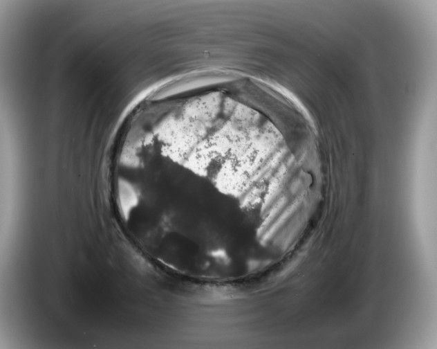 X0000086260983200704261952