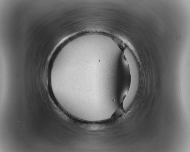 X0000086260984200704261952