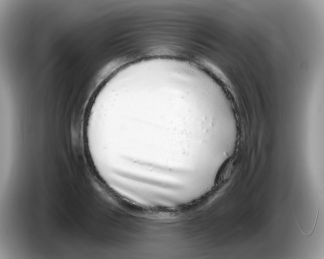 X0000086260986200704261952