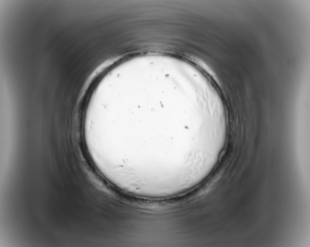 X0000086260987200704261952