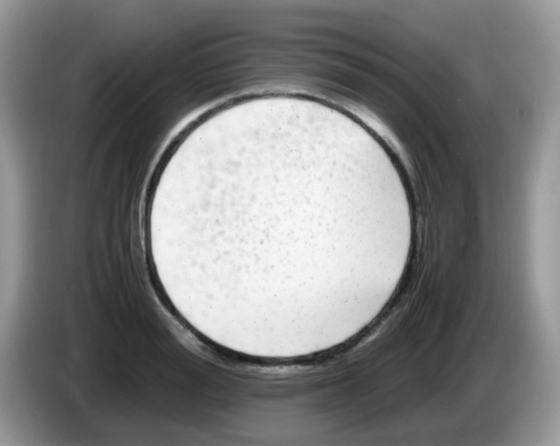 X0000086260988200704261952