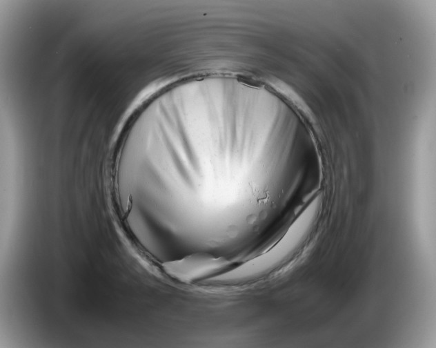 X0000086260989200704261952