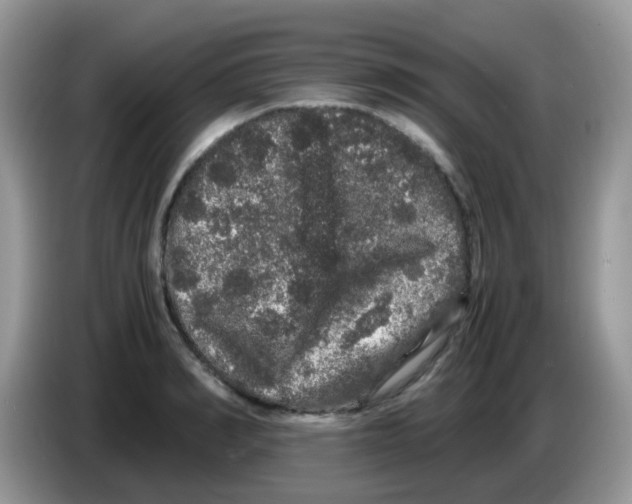 X0000086260990200704261952