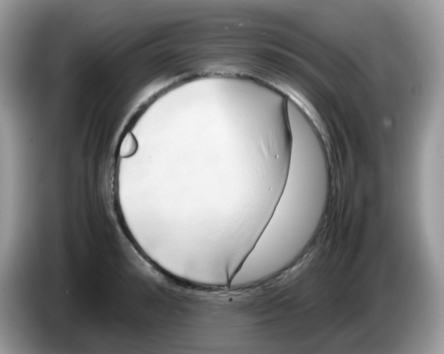 X0000086260992200704261952