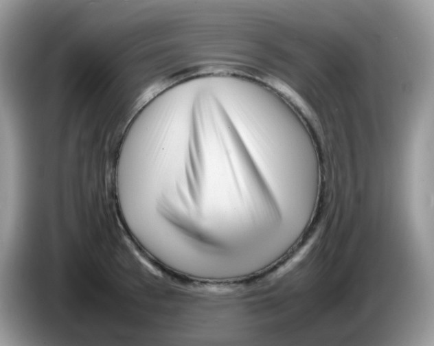 X0000086260993200704261952