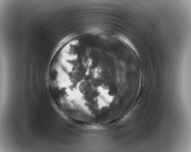 X0000086260994200704261952