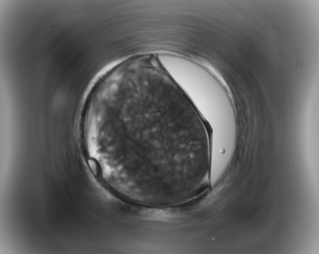 X0000086260995200704261952