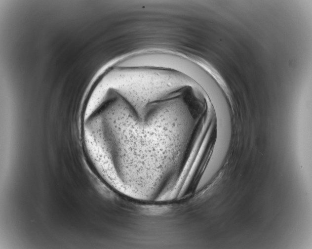 X0000086260996200704261952