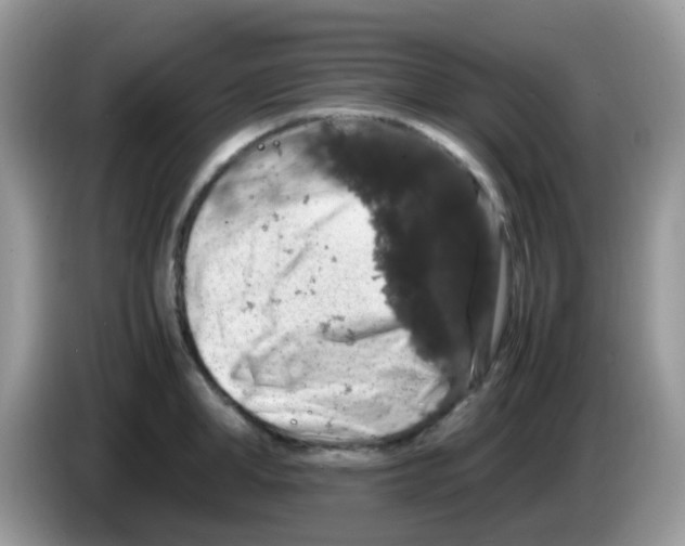 X0000086260998200704261952