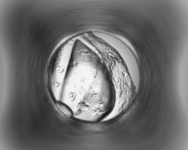 X0000086260999200704261952