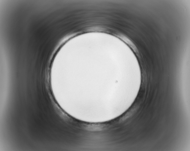 X0000086261000200704261952