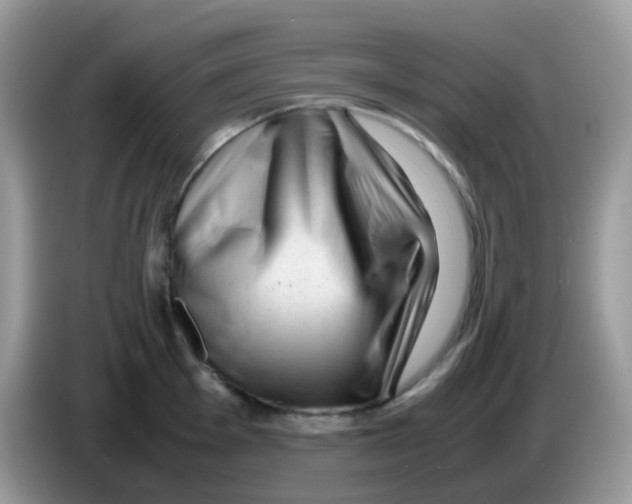 X0000086261001200704261952