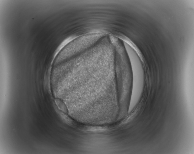 X0000086261002200704261952