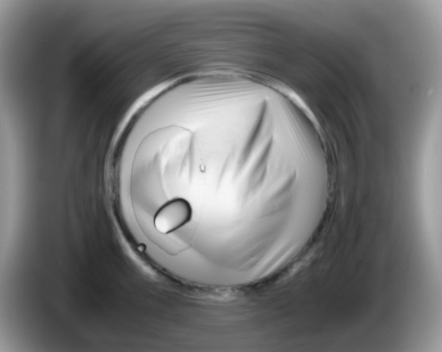 X0000086261003200704261952