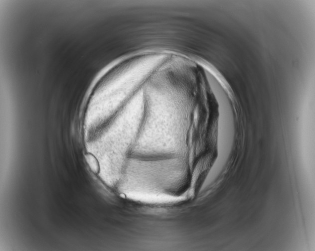 X0000086261004200704261952