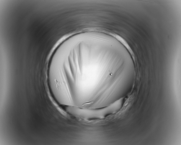 X0000086261005200704261952