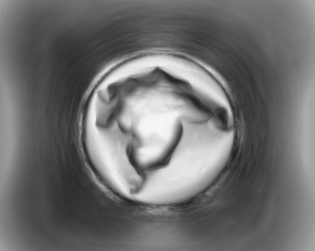 X0000086261006200704261952