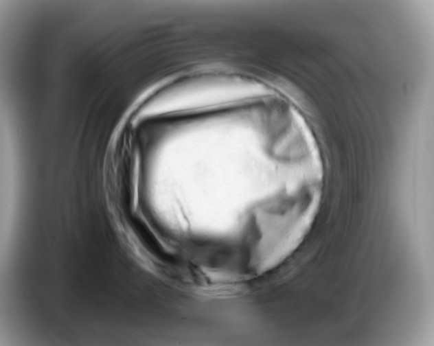 X0000086261008200704261952