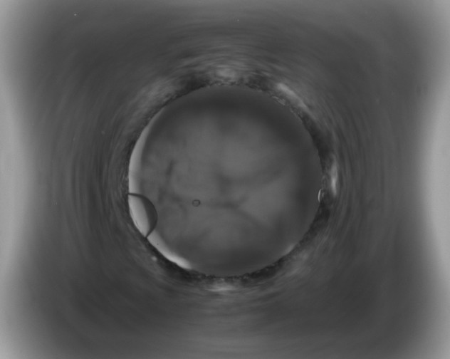 X0000086261009200704261951