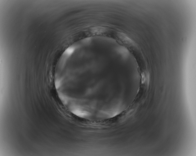 X0000086261011200704261951