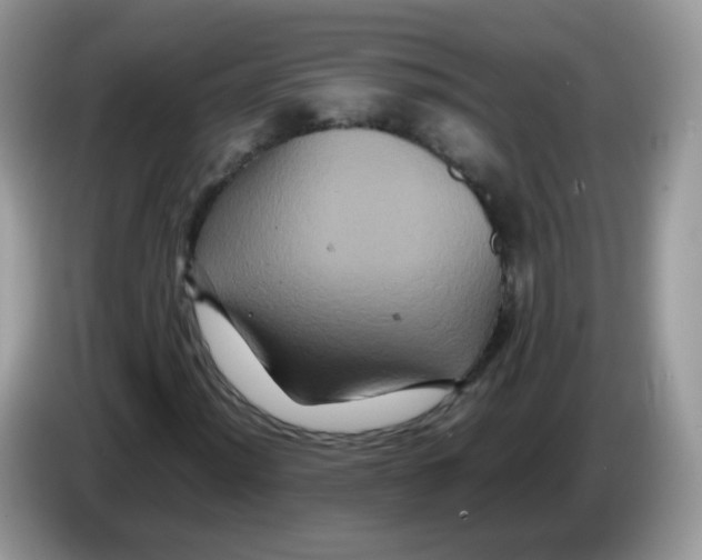 X0000086261012200704261951