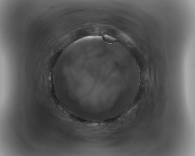 X0000086261013200704261951